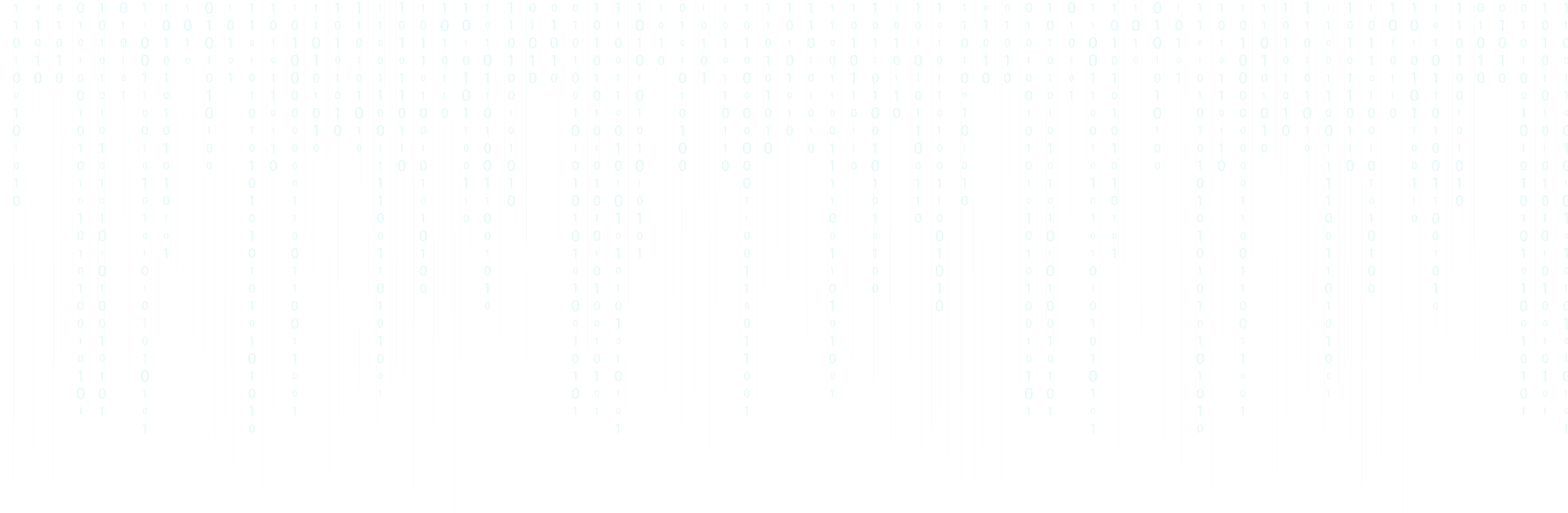 {Front End Developer}